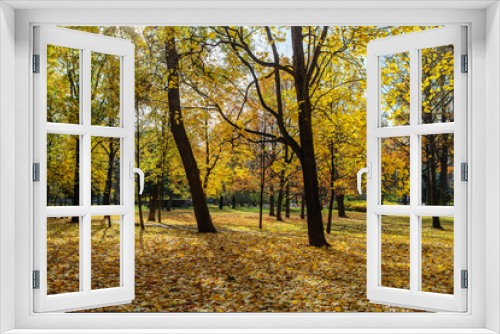 Fototapeta Naklejka Na Ścianę Okno 3D - sunny autumn landscape