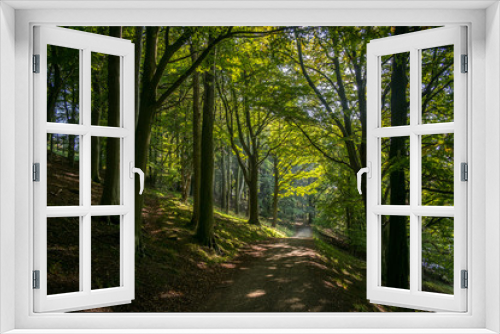 Fototapeta Naklejka Na Ścianę Okno 3D - Summer view along an inviting forest path