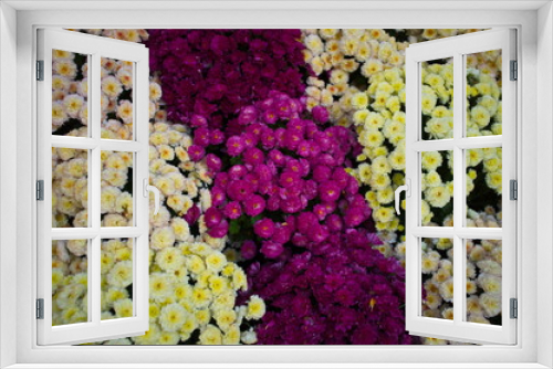 Fototapeta Naklejka Na Ścianę Okno 3D - sfondo di fiori