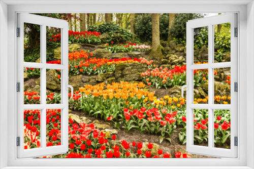 Fototapeta Naklejka Na Ścianę Okno 3D - Tulips park Keukenhof - largest flower garden in Europe, Holland