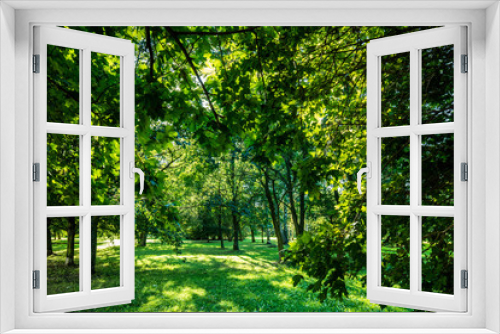 Fototapeta Naklejka Na Ścianę Okno 3D - Green summer park vivid landscape
