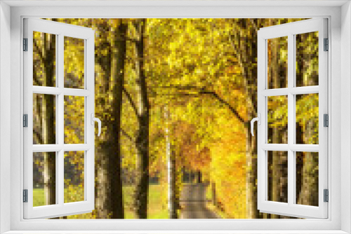 Fototapeta Naklejka Na Ścianę Okno 3D - Autumn alley. Alley in autumn, gold-colored trees