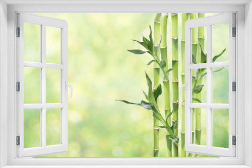 Fototapeta Naklejka Na Ścianę Okno 3D - Lucky Bamboo on natural background