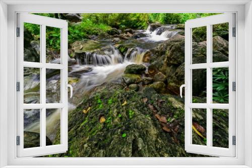 Fototapeta Naklejka Na Ścianę Okno 3D - Stream in the tropical jungle and rain forest