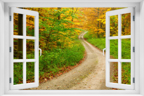 Fototapeta Naklejka Na Ścianę Okno 3D - Winding Dirt Road through Forest of Beech Trees in Autumn, Leaves Changing Colour