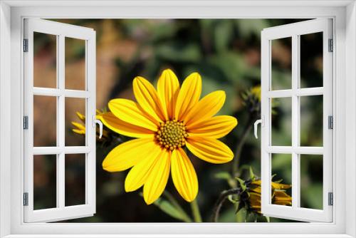 Fototapeta Naklejka Na Ścianę Okno 3D - yellow flower