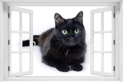 Fototapeta Naklejka Na Ścianę Okno 3D - Black cat lying isolated on white background