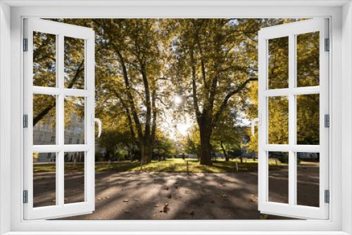 Fototapeta Naklejka Na Ścianę Okno 3D - Park im Herbst: Bäume mit bunten Blättern und Gehweg