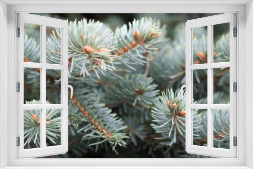 Fototapeta Naklejka Na Ścianę Okno 3D - Christmas background. fir tree.