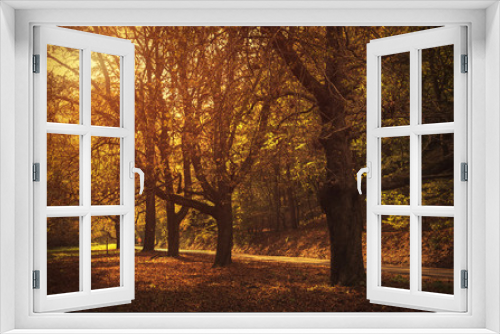 Fototapeta Naklejka Na Ścianę Okno 3D - Road in beautiful autumn forest