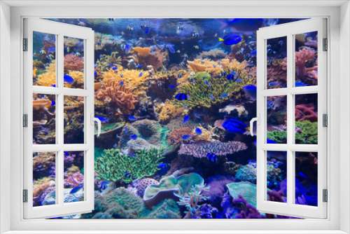 Fototapeta Naklejka Na Ścianę Okno 3D - Beautiful coral in underwater with colorful fish.