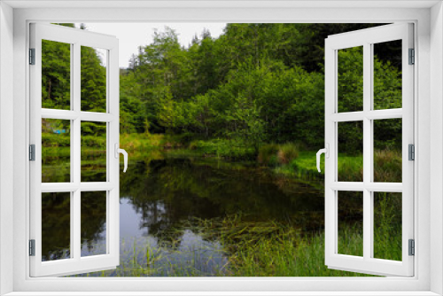 Fototapeta Naklejka Na Ścianę Okno 3D - Pond in Summer