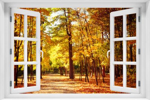 Fototapeta Naklejka Na Ścianę Okno 3D - Sunny day in outdoor park with colorful autumn trees and pathway. Amazing bright colors of autumn nature landscape
