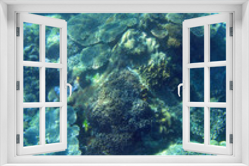 Fototapeta Naklejka Na Ścianę Okno 3D - Coral Reef