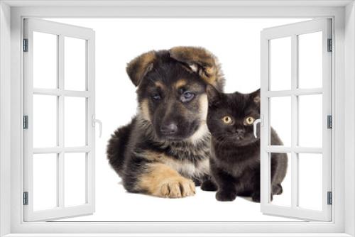 Fototapeta Naklejka Na Ścianę Okno 3D - Puppy and kitten looking