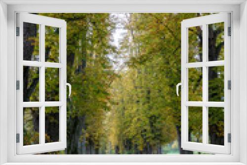 Fototapeta Naklejka Na Ścianę Okno 3D - Aussicht in der Natur mit Baum und Sonne