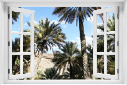 Fototapeta Naklejka Na Ścianę Okno 3D - in the palm hain of old Village Misfah in the mountains of Sultanate Oman