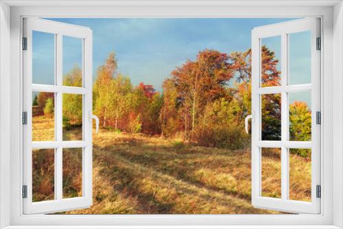 Fototapeta Naklejka Na Ścianę Okno 3D - In the Carpathians, golden autumn