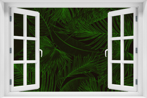 Fototapeta Naklejka Na Ścianę Okno 3D - Green leaves of palm tree on black background