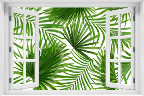 Fototapeta Naklejka Na Ścianę Okno 3D - Green leaves of palm tree on white background