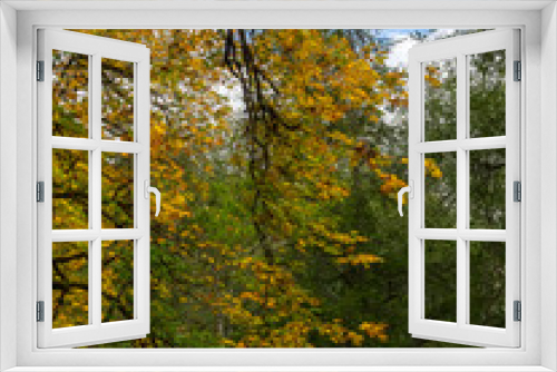 Fototapeta Naklejka Na Ścianę Okno 3D - Fall Colors Washington State