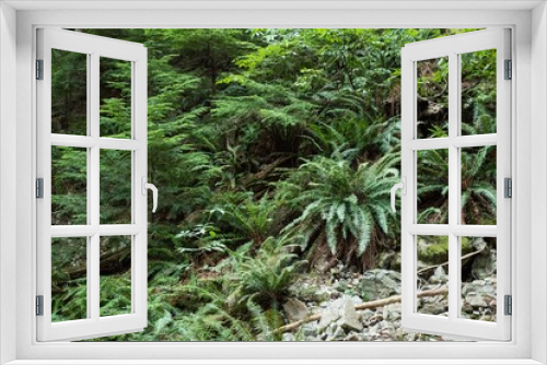 Fototapeta Naklejka Na Ścianę Okno 3D - View of tropical plants