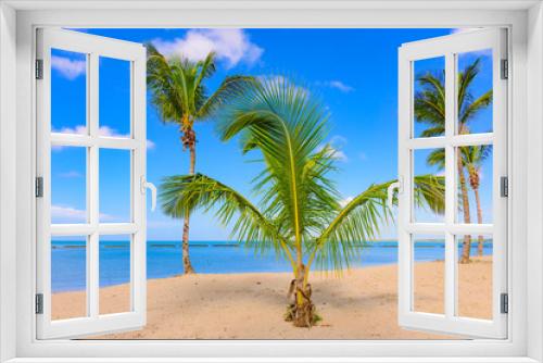 Fototapeta Naklejka Na Ścianę Okno 3D - Palm Ocean Sky