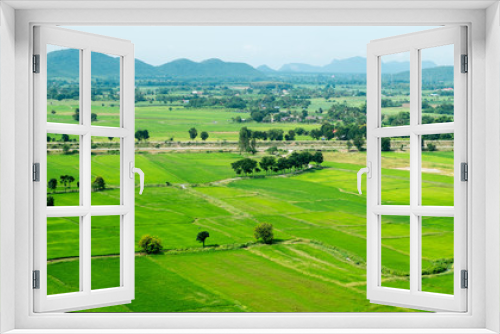 Fototapeta Naklejka Na Ścianę Okno 3D - terraced rice fields , Wild Abundance