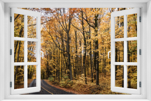 Fototapeta Naklejka Na Ścianę Okno 3D - Autumnal Road