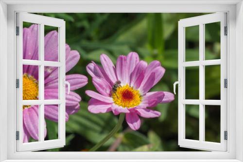 Fototapeta Naklejka Na Ścianę Okno 3D - Bunte Blumen im Park,