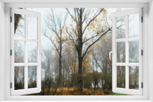 Fototapeta Naklejka Na Ścianę Okno 3D - Ein Moor