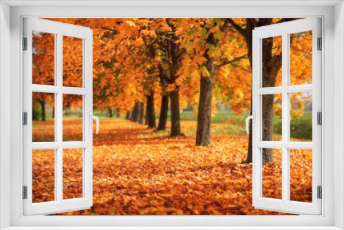Fototapeta Naklejka Na Ścianę Okno 3D - Beautiful autumn colors