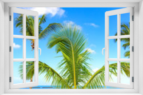 Fototapeta Naklejka Na Ścianę Okno 3D - Palm Ocean Sky