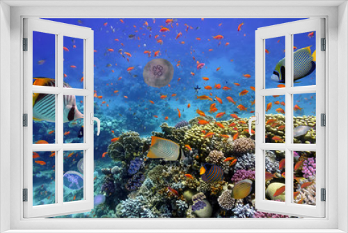 Fototapeta Naklejka Na Ścianę Okno 3D - Coral Reef and Tropical Fish