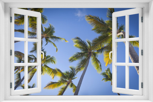 Fototapeta Naklejka Na Ścianę Okno 3D - Palm trees over blue sky in Punta Cana, Dominican Republic