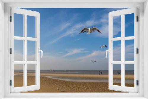 Fototapeta Naklejka Na Ścianę Okno 3D - Möwen am Meer