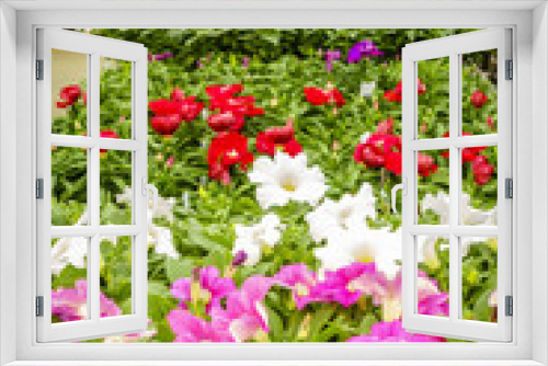 Fototapeta Naklejka Na Ścianę Okno 3D - Home and garden store in spring