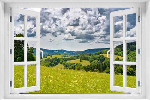 Fototapeta Naklejka Na Ścianę Okno 3D - Spring summer background - grass field meadow scenery lanscape