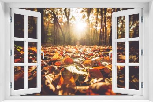 Fototapeta Naklejka Na Ścianę Okno 3D - Golden Autumn Foliage