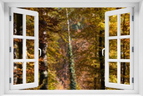 Fototapeta Naklejka Na Ścianę Okno 3D - Path in an autumnally forest