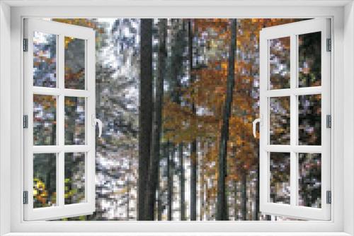 Fototapeta Naklejka Na Ścianę Okno 3D - herbstwald