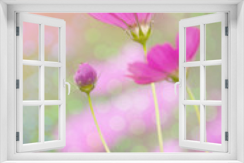 Fototapeta Naklejka Na Ścianę Okno 3D - Flower Background