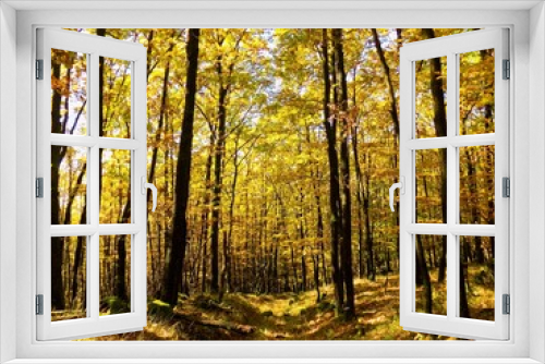 Fototapeta Naklejka Na Ścianę Okno 3D - Yellow colorful leaves on deciduous trees in deciduous forest in wild nature during autumn