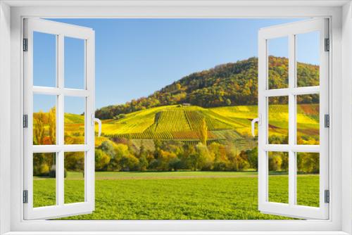 Fototapeta Naklejka Na Ścianę Okno 3D - Herbstliches Laub im Weinberg 