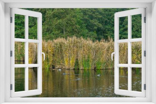 Fototapeta Naklejka Na Ścianę Okno 3D - lake in the forest in autumn