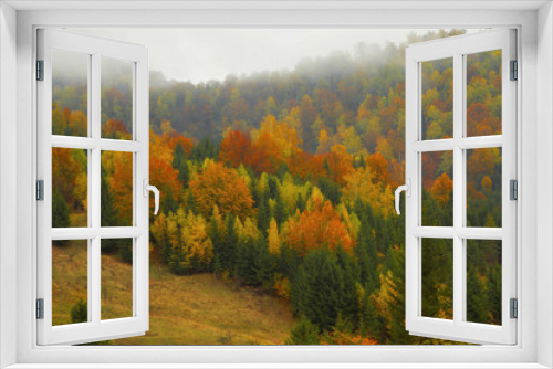 Fototapeta Naklejka Na Ścianę Okno 3D - Autumnal forest landscape in the mist