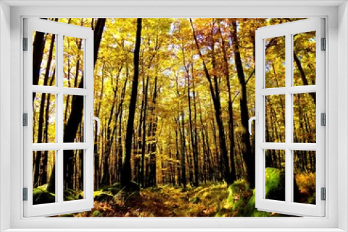 Fototapeta Naklejka Na Ścianę Okno 3D - Yellow colorful leaves on deciduous trees in deciduous forest in wild nature during autumn
