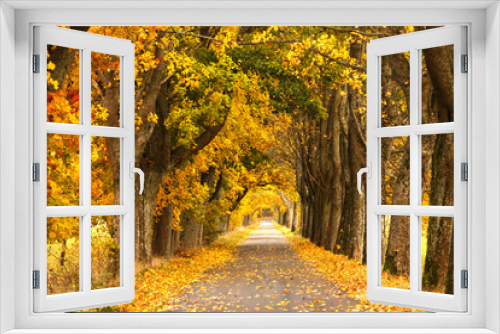 Fototapeta Naklejka Na Ścianę Okno 3D - Autumn Road. /Kashubia, Poland 