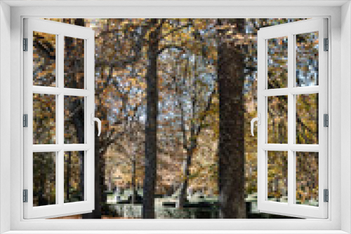 Fototapeta Naklejka Na Ścianę Okno 3D - Chestnut trees in a park