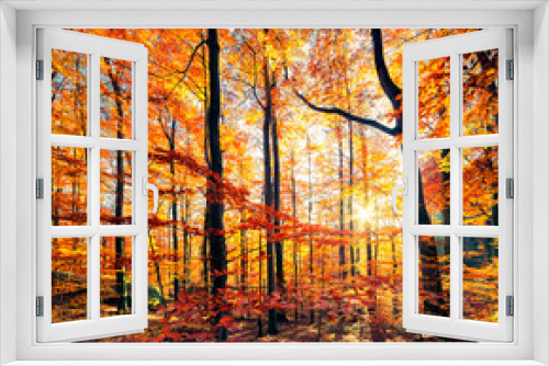 Fototapeta Naklejka Na Ścianę Okno 3D - Beautiful view of the autumn forest.